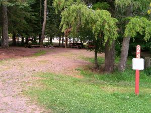 Site 24 - Group Site